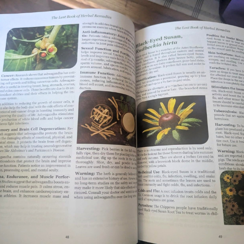 The Lost Book of Herbal Remedies